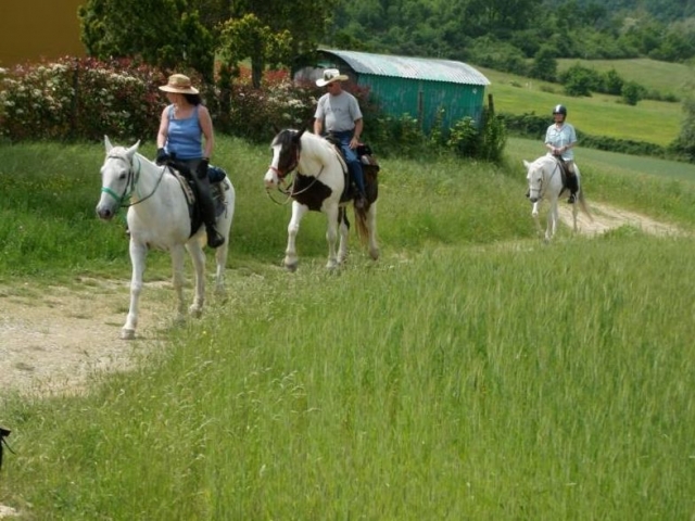 Tra le colline toscane